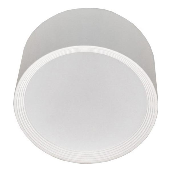 Iluminação de teto LED PERCI LED/30W/230V IP40 4000K branco