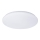 Iluminação de teto LED PLAIN LED/15W/230V 3000K redonda