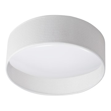 Iluminação de teto LED RIFA LED/17,5W/230V 4000K branco