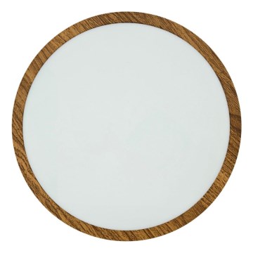 Iluminação de teto LED RING LED/24W/230V 4200K diâmetro 28,5 cm castanho