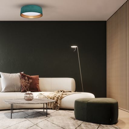 Iluminação de teto LED RONDO LED/18W/230V verde
