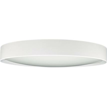Iluminação de teto LED SAMER LED/24W/230V 4000K