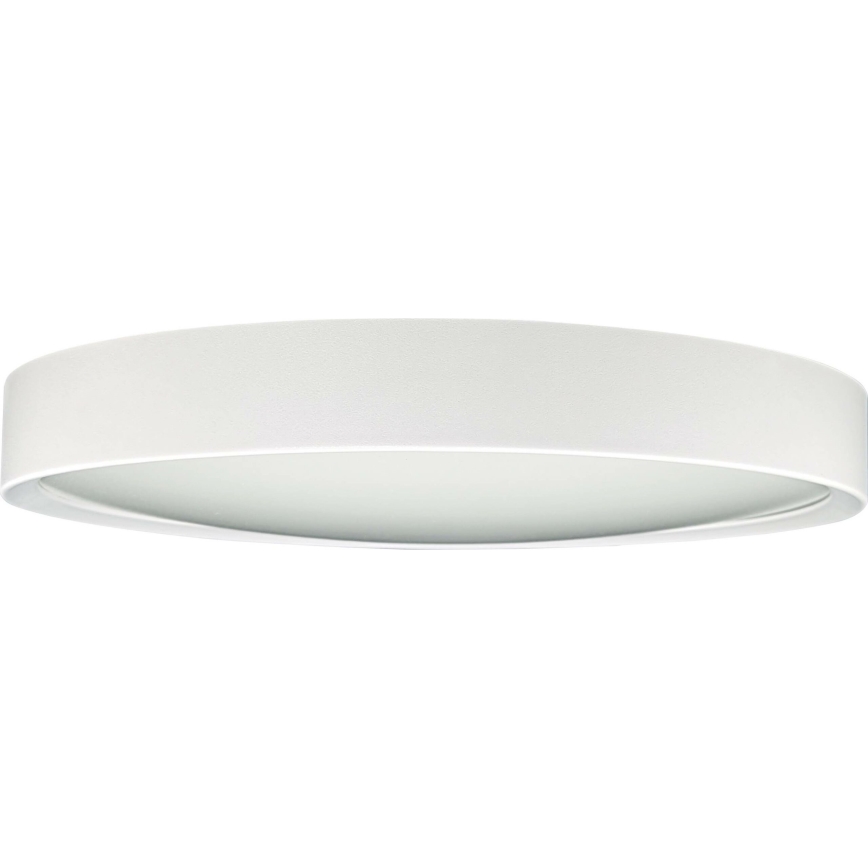 Iluminação de teto LED SAMER LED/24W/230V 4000K