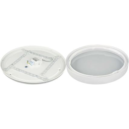Iluminação de teto LED SAMER LED/24W/230V 4000K