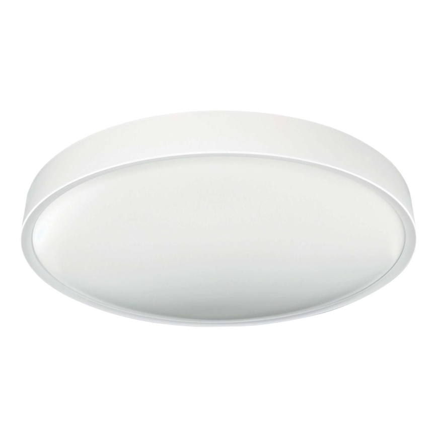 Iluminação de teto LED SAMER LED/40W/230V 4000K