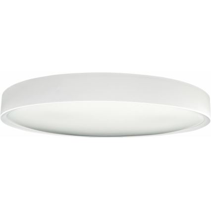 Iluminação de teto LED SAMER LED/40W/230V 4000K