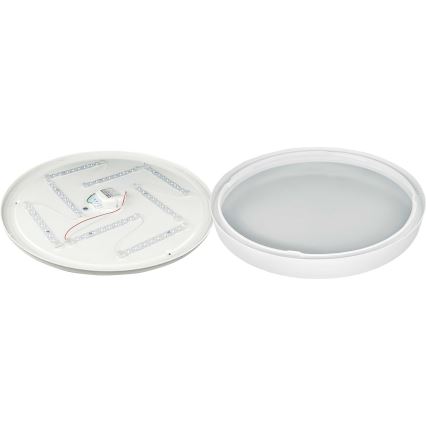 Iluminação de teto LED SAMER LED/40W/230V 4000K