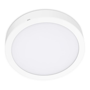 Iluminação de teto LED SIGARO CIRCLE LED/24W/230V 4000K IP40