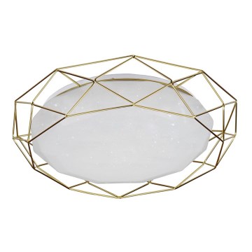 Iluminação de teto LED SVEN LED/24W/230V