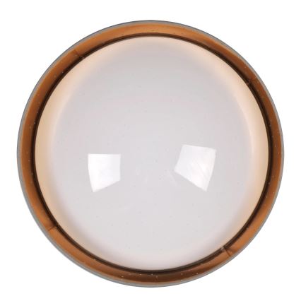 Iluminação de teto LED TULUZA LED/24W/230V diâmetro 40 cm castanho