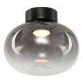 Iluminação de teto LED VASO LED/4W/230V diâmetro 18 cm preto/fumado