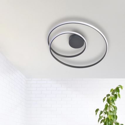 Iluminação de teto LED ZEFIRA LED/40W/230V 4000K diâmetro 50 cm antracite