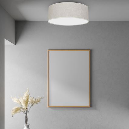 Iluminação de teto LINO 3xE27/60W/230V