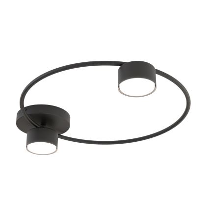 Iluminação de teto LUCIO 2xGX53/12W/230V preto