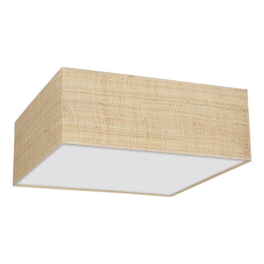 Iluminação de teto MARSHALL 2xE27/60W/230V