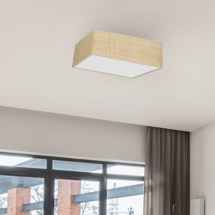 Iluminação de teto MARSHALL 2xE27/60W/230V