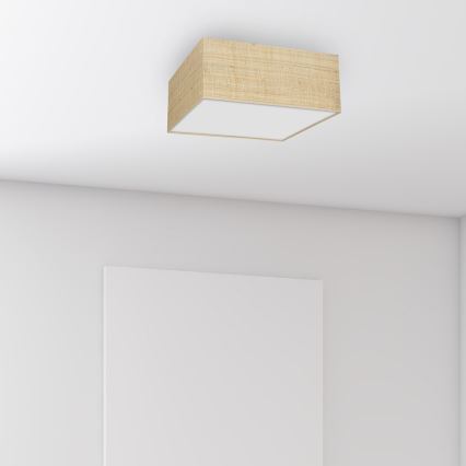 Iluminação de teto MARSHALL 3xE27/60W/230V