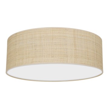 Iluminação de teto MARSHALL 3xE27/60W/230V