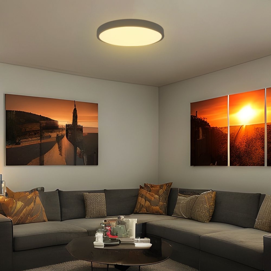 Iluminação de teto para casa de banho LED SAMSUNG CHIP LED/36W/230V IP44 4000K diâmetro 35 cm preto