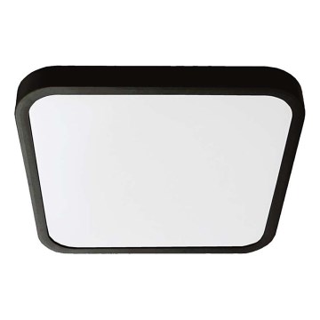 Iluminação de teto para casa de banho LED LED/48W/230V 6500K IP44 preto