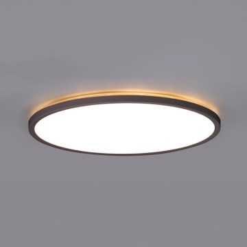 Iluminação de teto para casa de banho LED NIVERA LED/12W/230V IP54 3000/4000/6000K diâmetro 22,5 cm preto