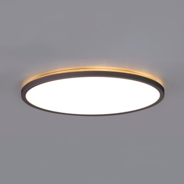 Iluminação de teto para casa de banho LED NIVERA LED/18W/230V IP54 3000/4000/6000K diâmetro 30 cm preto