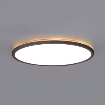 Iluminação de teto para casa de banho LED NIVERA LED/24W/230V IP54 3000/4000/6000K diâmetro 30 cm preto