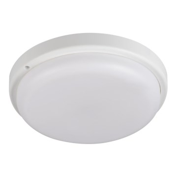 Iluminação de teto para casa de banho LED TOLU LED/18W/230V 4000K IP54 branco