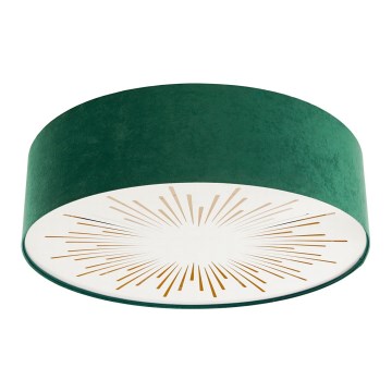 Iluminação de teto RAYS 2xE27/60W/230V diâmetro 60 cm verde