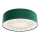 Iluminação de teto RAYS 2xE27/60W/230V diâmetro 60 cm verde
