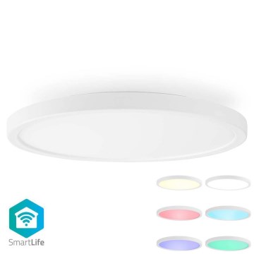 Iluminação de teto RGBW com regulação SmartLife LED/18W/230V 2700-6500K Wi-Fi Tuya