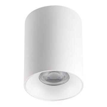 Iluminação de teto RITI 1xGU10/25W/230V branca