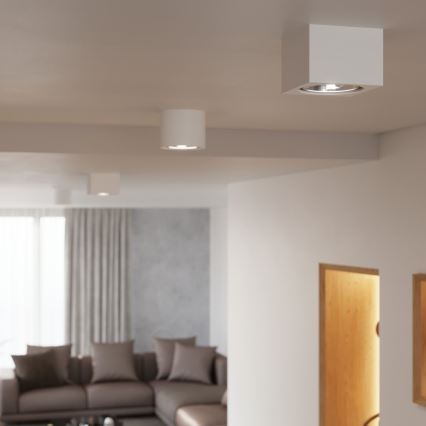 Iluminação de teto SEIDA 1xGU10/40W/230V