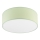Iluminação de teto SIRJA PASTEL 1xE27/60W/230V diâmetro 35 cm verde