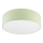 Iluminação de teto SIRJA PASTEL 2xE27/60W/230V diâmetro 45 cm verde