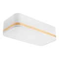 Iluminação de teto SIRJA SQUARE STRIPE 2xE27/15W/230V branco/dourada