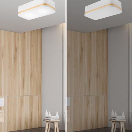 Iluminação de teto SIRJA SQUARE STRIPE 2xE27/15W/230V branco/dourada