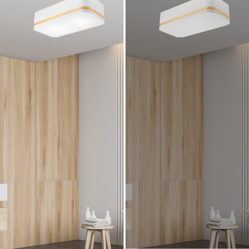 Iluminação de teto SIRJA SQUARE STRIPE 2xE27/15W/230V branco/dourada