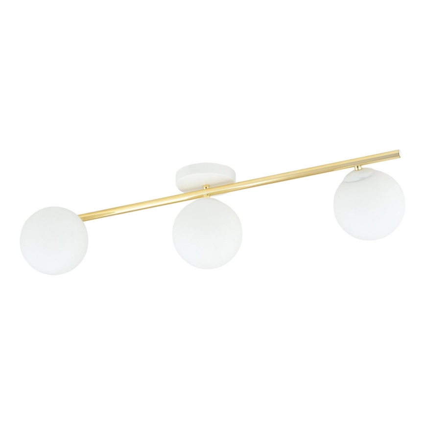 Iluminação de teto SPLENDI 3xE14/10W/230V branco/dourado
