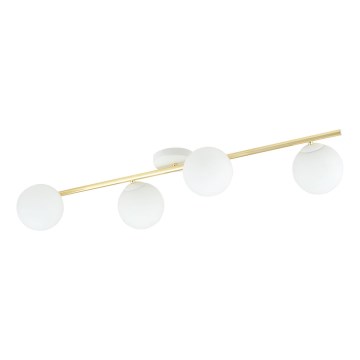 Iluminação de teto SPLENDI 4xE14/10W/230V branco/dourado