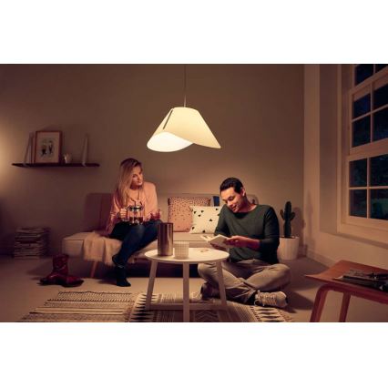 Iluminação de teto suspensa E27/60W/230V