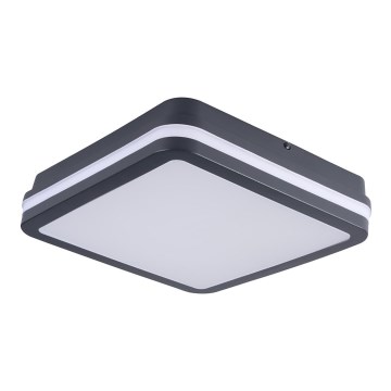 Iluminação exterior LED BENO LED/24W/230V 4000K antracite IP54