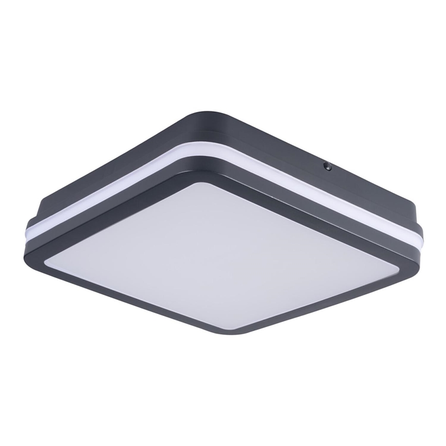 Iluminação exterior LED BENO LED/24W/230V 4000K antracite IP54