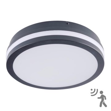 Iluminação exterior LED com sensor BENO LED/18W/230V 4000K antracite IP54