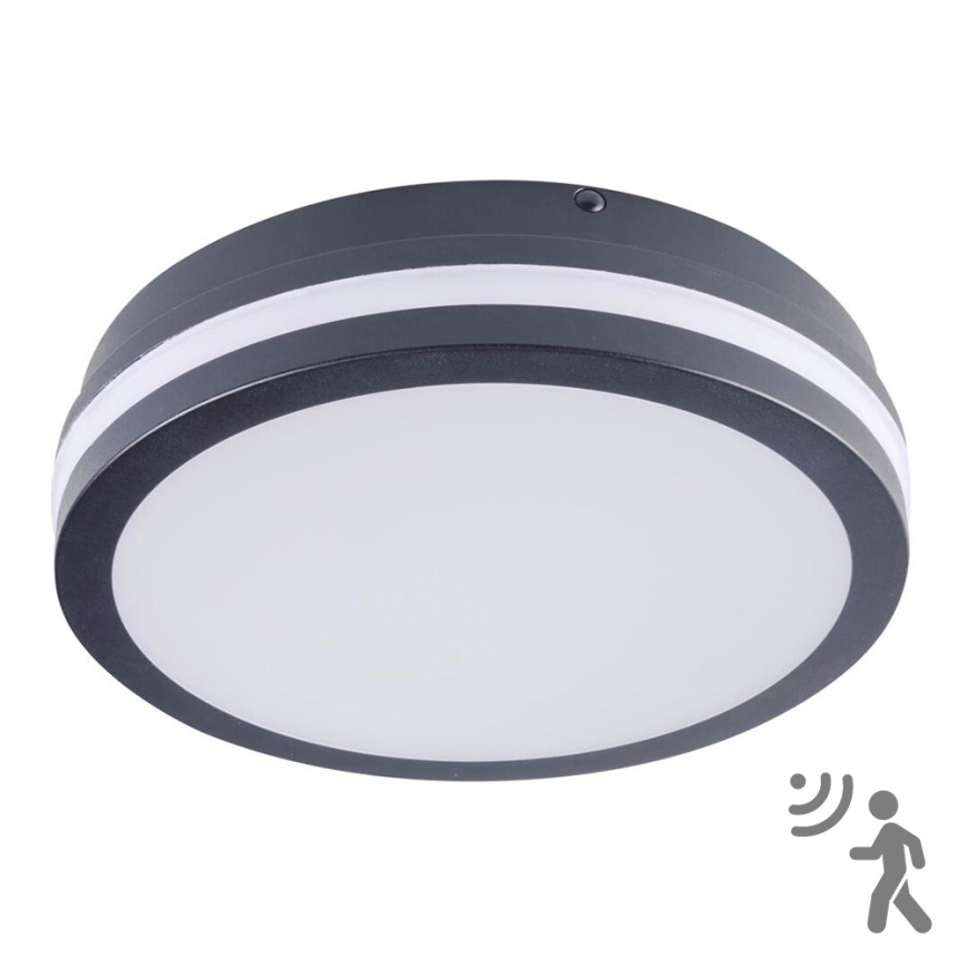 Iluminação exterior LED com sensor BENO LED/18W/230V 4000K antracite IP54