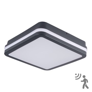 Iluminação exterior LED com sensor BENO LED/18W/230V 4000K IP54 antracite