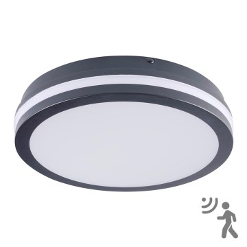 Iluminação exterior LED com sensor BENO LED/24W/230V 4000K IP54 Antracite