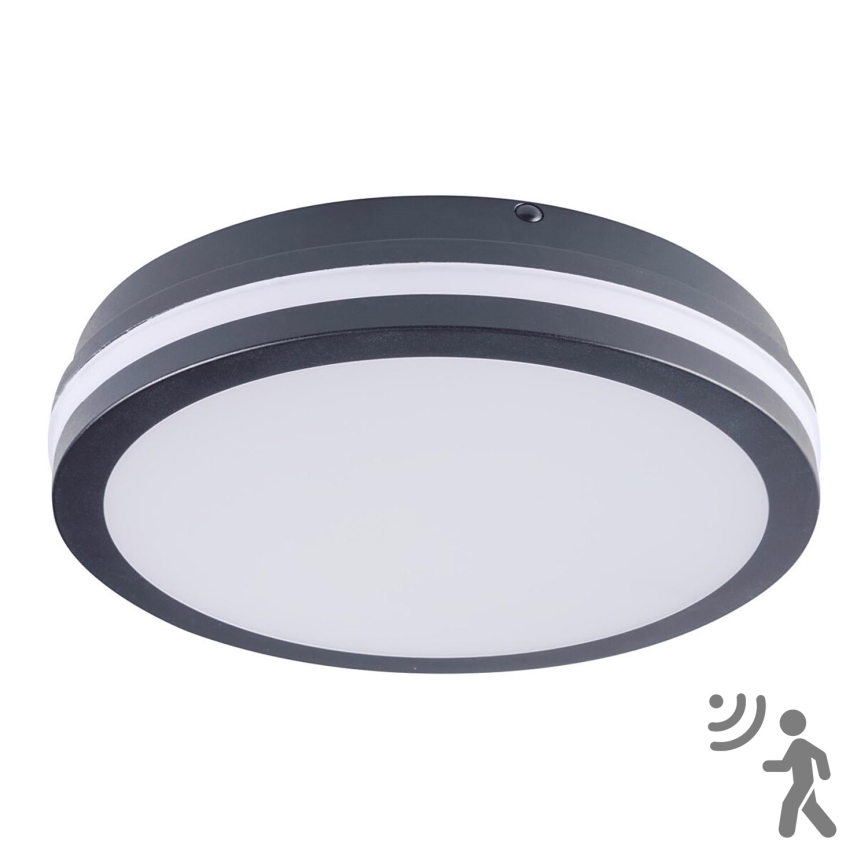 Iluminação exterior LED com sensor BENO LED/24W/230V 4000K IP54 Antracite