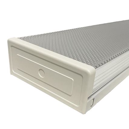 Iluminação fluorescente T8 2xG13/18W/230V 124 cm