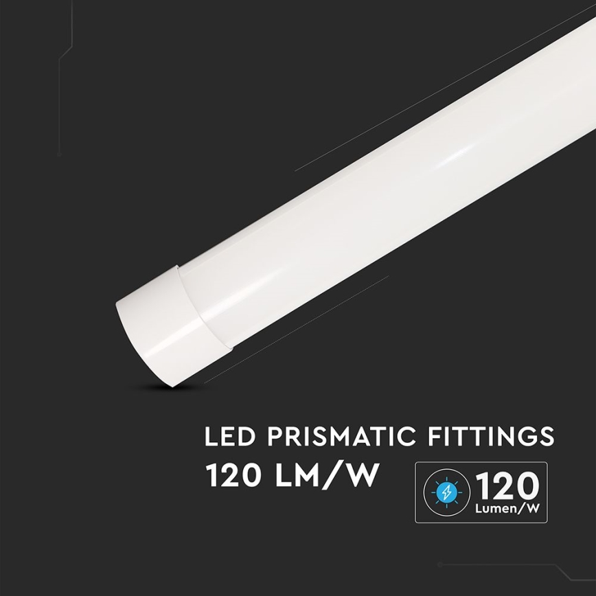 Iluminação fluorescente LED/20W/230V 6500K 60 cm branco